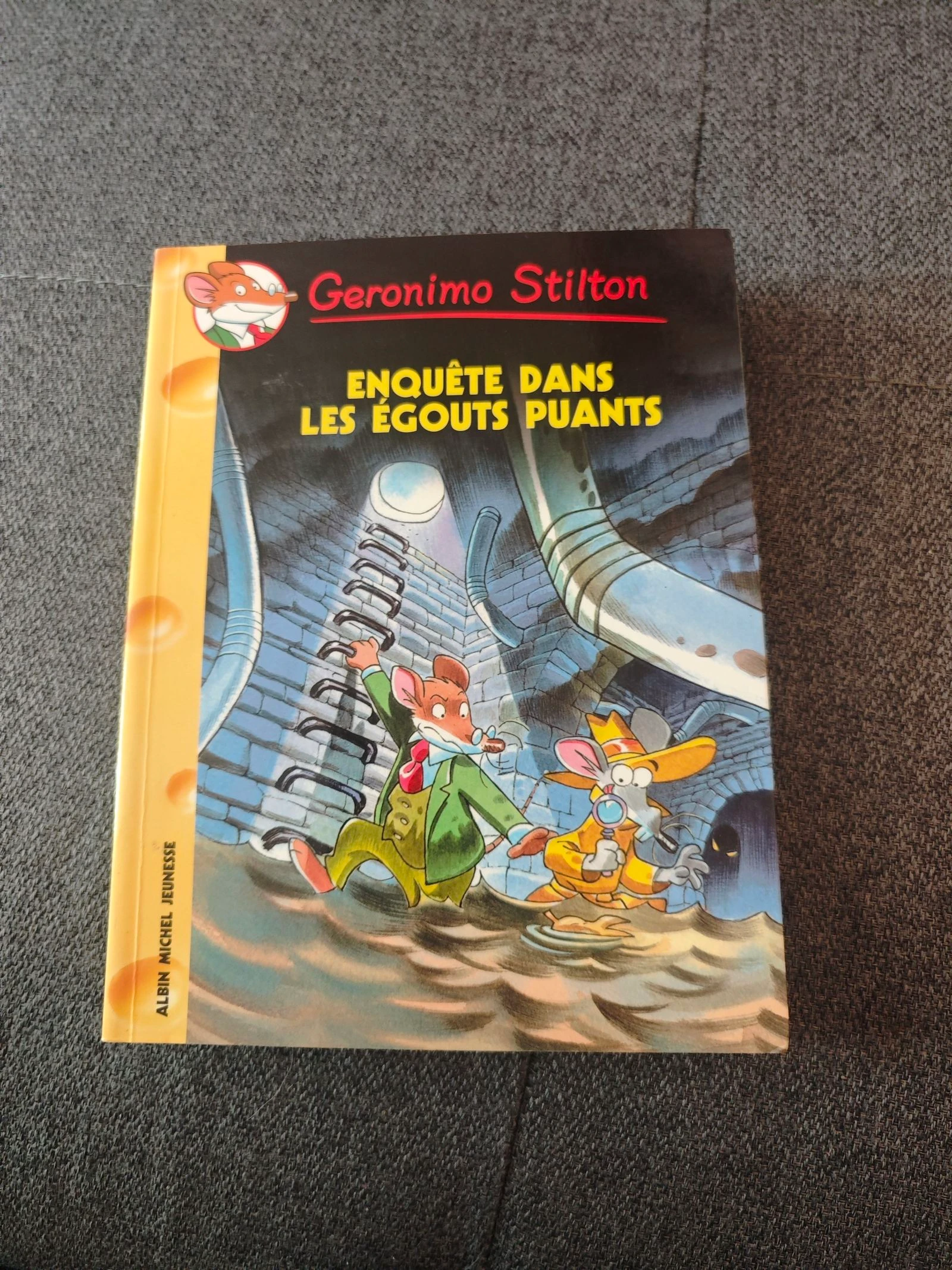 Enquête dans les égouts puants Tome 41 (Geronimo Stilton)